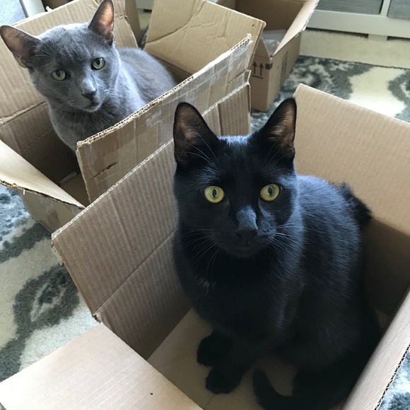 Shop our mom's closet! 😻😻😻 - Picture 14 of 16